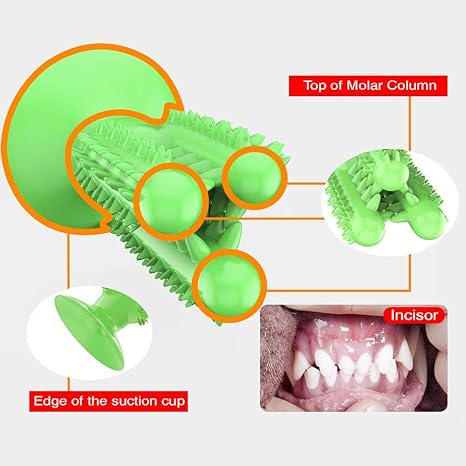 The Cleaning Cactus Chew Toy