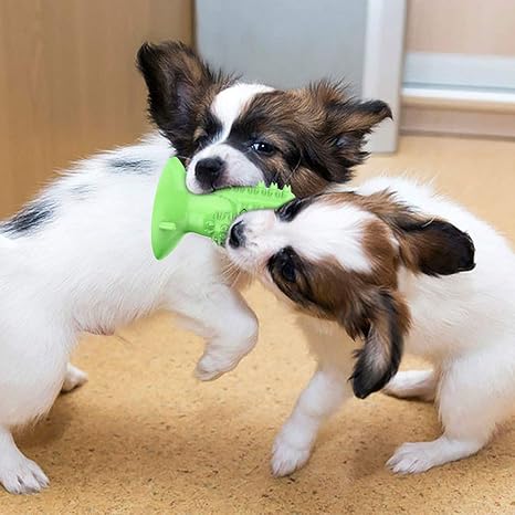 The Cleaning Cactus Chew Toy