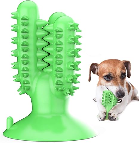 The Cleaning Cactus Chew Toy