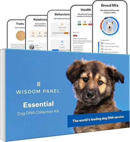 Full Panel Dog DNA Kit | 365+ Breeds, Genetic Health Test, 50+ Traits, Find + Message Relatives |