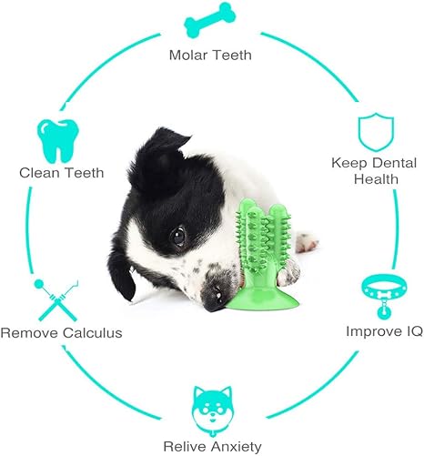 The Cleaning Cactus Chew Toy