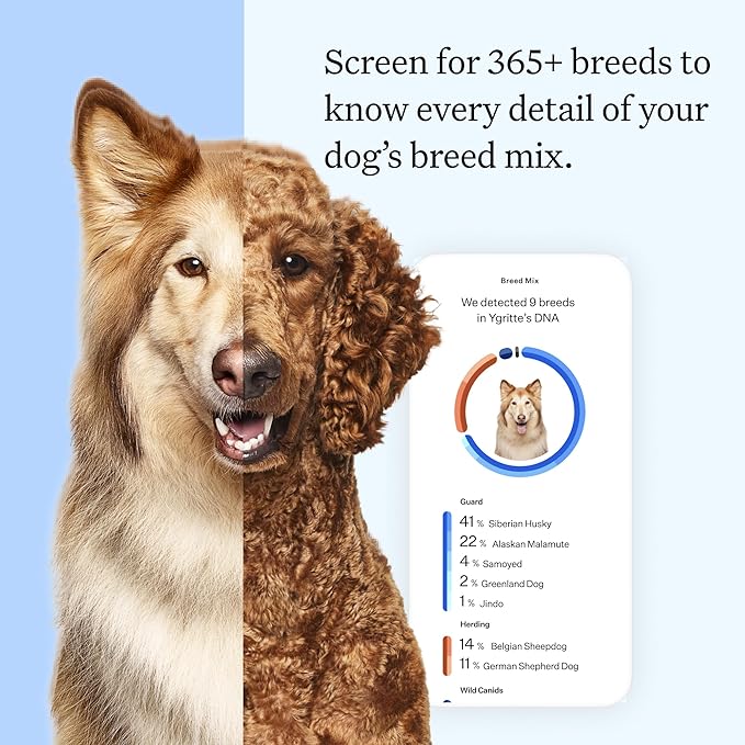 Full Panel Dog DNA Kit | 365+ Breeds, Genetic Health Test, 50+ Traits, Find + Message Relatives |