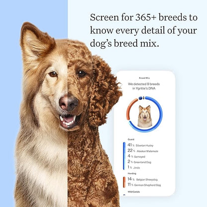 Full Panel Dog DNA Kit | 365+ Breeds, Genetic Health Test, 50+ Traits, Find + Message Relatives |