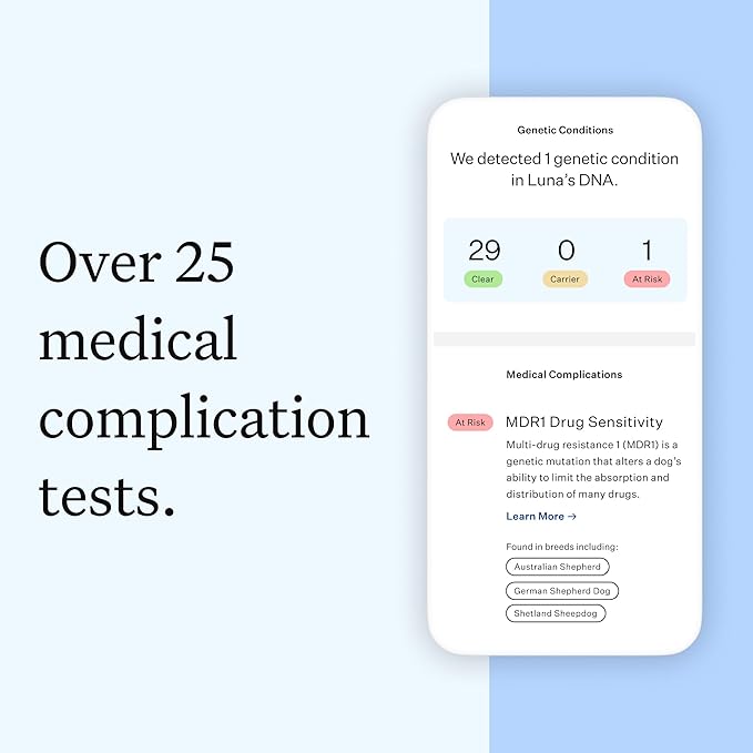 Full Panel Dog DNA Kit | 365+ Breeds, Genetic Health Test, 50+ Traits, Find + Message Relatives |