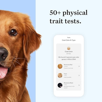 Full Panel Dog DNA Kit | 365+ Breeds, Genetic Health Test, 50+ Traits, Find + Message Relatives |