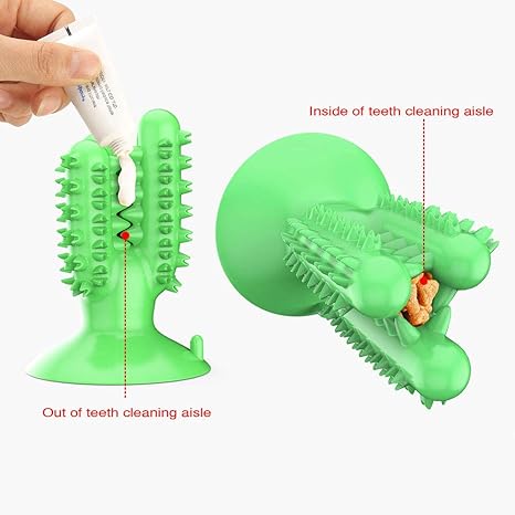 The Cleaning Cactus Chew Toy