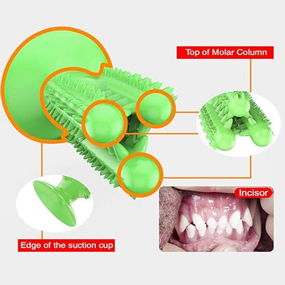 The Cleaning Cactus Chew Toy