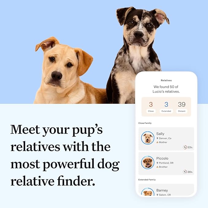 Full Panel Dog DNA Kit | 365+ Breeds, Genetic Health Test, 50+ Traits, Find + Message Relatives |