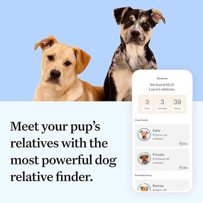 Full Panel Dog DNA Kit | 365+ Breeds, Genetic Health Test, 50+ Traits, Find + Message Relatives |