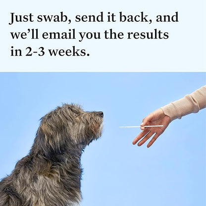 Full Panel Dog DNA Kit | 365+ Breeds, Genetic Health Test, 50+ Traits, Find + Message Relatives |