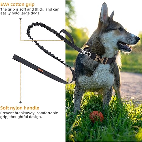 Tactical Bungee Dog Leash: Military Grade Adjustable Reflex Dog Leash [*2024 Release - Best Seller]