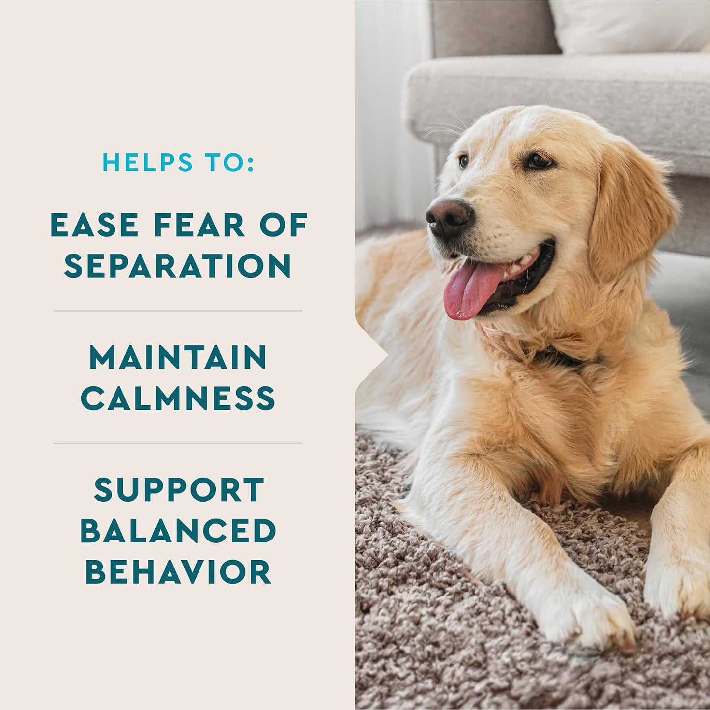 VetIQ Calming Support Chews for Dogs, Anxiety Relief, 120ct (Vet Recommended)