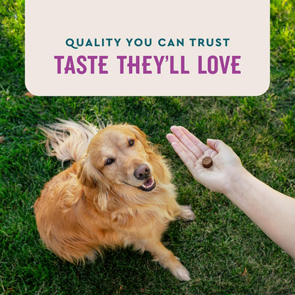 VetIQ Calming Support Chews for Dogs, Anxiety Relief, 120ct (Vet Recommended)