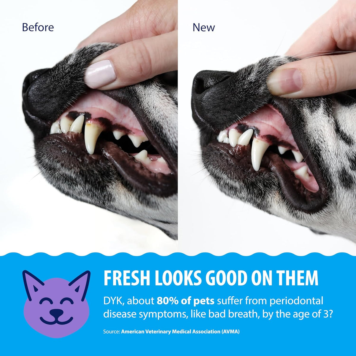Dental Fresh Advanced Plaque & Tartar Water Additive for Dogs & Cats, 17 oz (Vet Recommended)