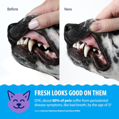 Dental Fresh Advanced Plaque & Tartar Water Additive for Dogs & Cats, 17 oz (Vet Recommended)