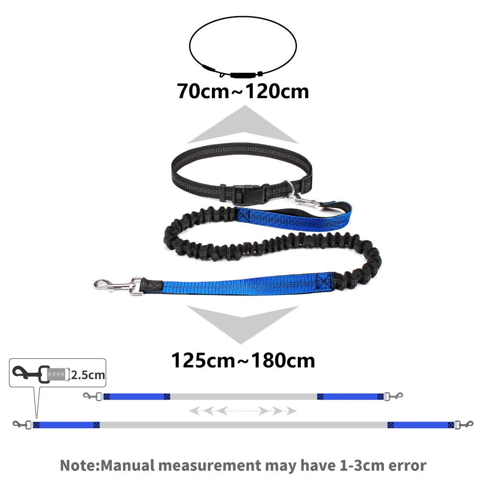Adjustable Hands Free Dog Leash For Dog Walking Running Jogging