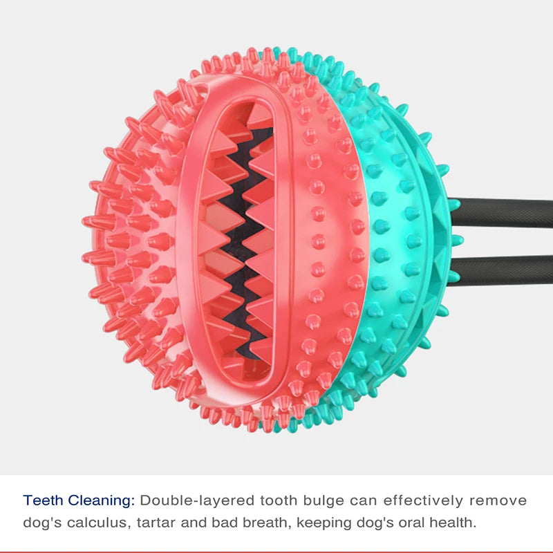 Ball Suction Dental Toy, Iteractive Tooth Cleaning Toy