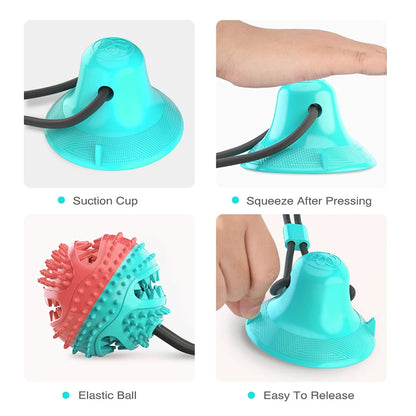 Ball Suction Dental Toy, Iteractive Tooth Cleaning Toy