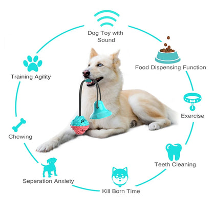 Ball Suction Dental Toy, Iteractive Tooth Cleaning Toy