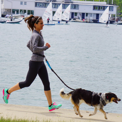 Adjustable Hands Free Dog Leash For Dog Walking Running Jogging