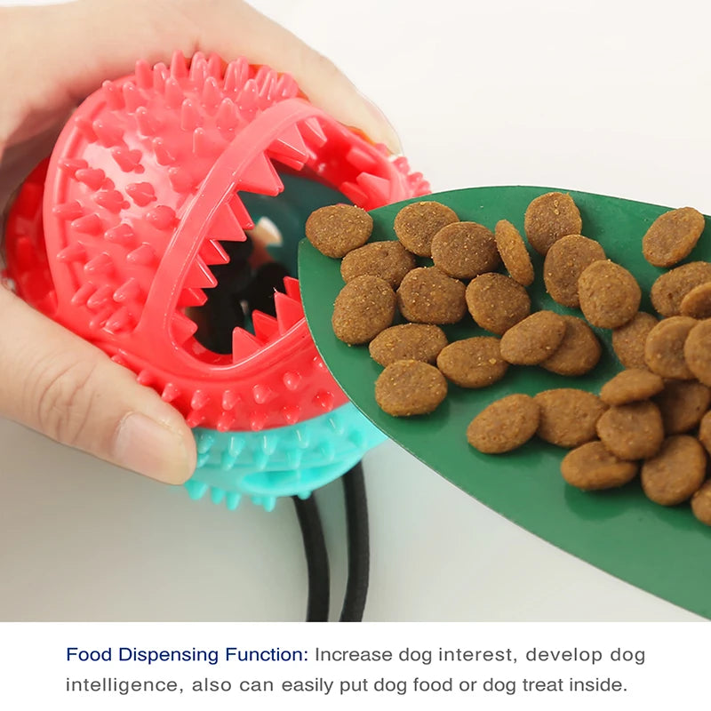 Ball Suction Dental Toy, Iteractive Tooth Cleaning Toy