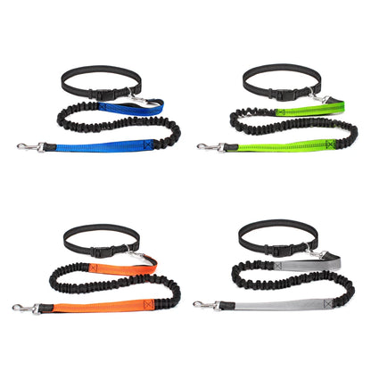 Adjustable Hands Free Dog Leash For Dog Walking Running Jogging
